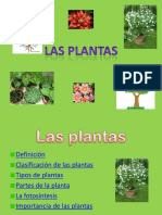 Point Plantas