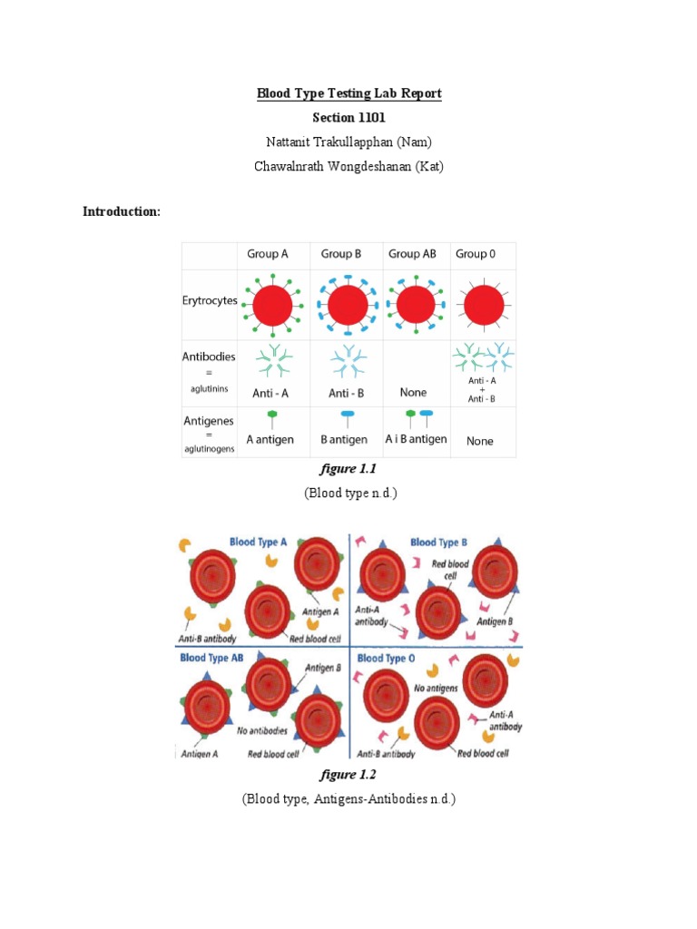 blood_type_testing_lab_report.pdf Blood Type Zygosity