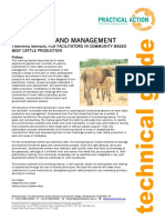 Beef Cattle Production and Management Training Manual PDF