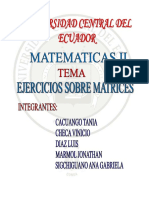 MATRICES LIBRO.pdf