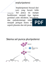 Sel Punca Berpluripotensi