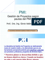 6 Introducc Al PMI