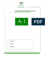 Informe Ejemplo Tipo A1 Seneca 1