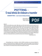 brainspotting.pdf