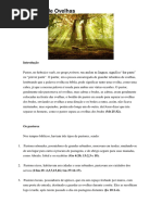 o Pastor de Ovelhas as Armas Do Pastor