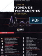 Anatomia Dentes Permanentes Glauco-Fioranelli PDF