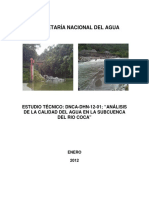 Informe Coca Final 1