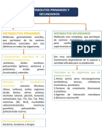 Cuadro Conceptual Metabolitos...