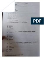 FORMA 117 Preguntas.pdf