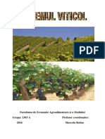 Sistemul viticol