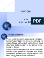 ANATOMI