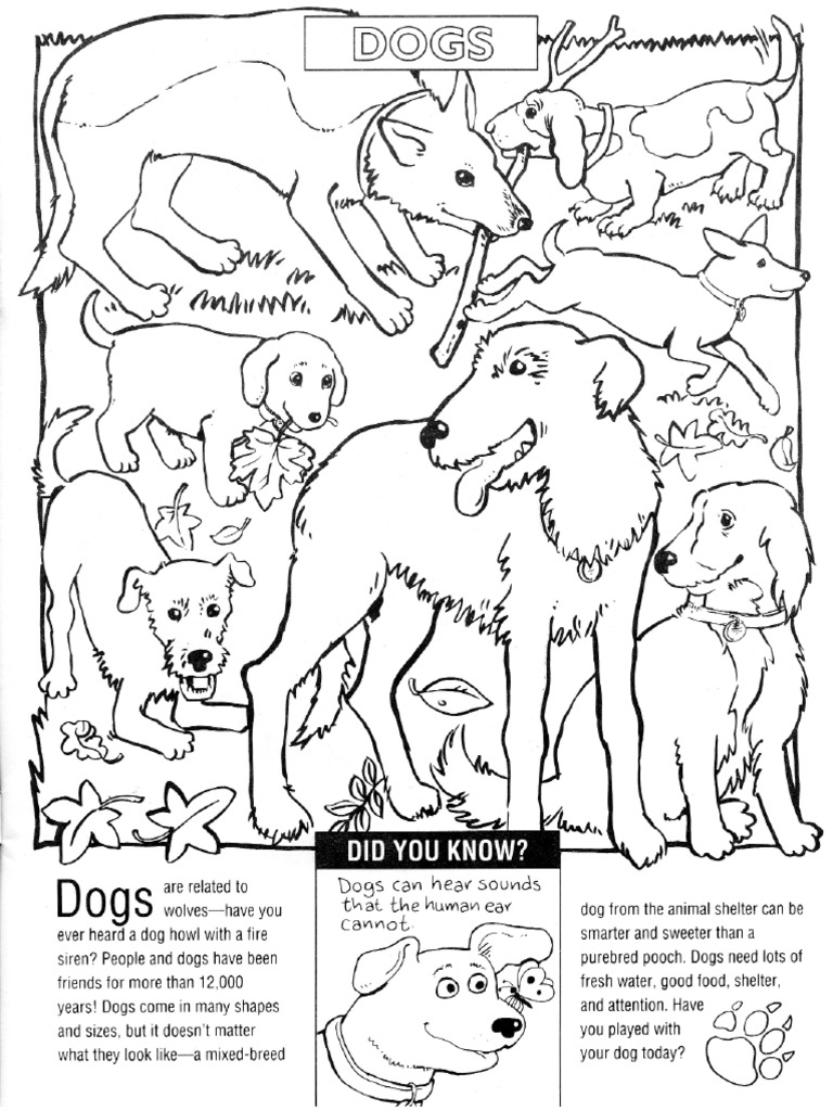 Download All Animal Coloring Book Pdf