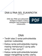 Dna & Rna Eukariot 2016