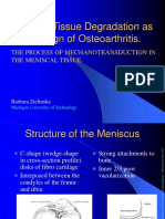 Meniscal Tissue Degradation As The First Sign of Osteoarthritis