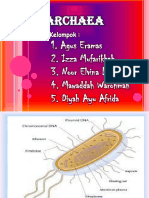 ARCHAEA