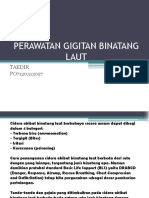 Cara Mengatasi Cidera Binatang Laut