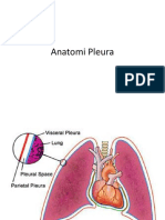 Anatomi Pleura