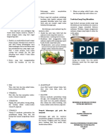 Leaflet Nutrisi Ibu Menyusui