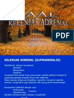 Faal Kelenjar Adrenal