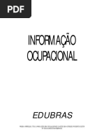 09- Apostila Informação Ocupacional
