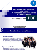 Organizacion Como Sistema PDF