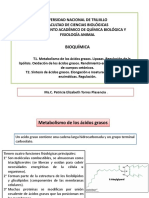 Semana 9. Metabolismo de Los Ácidos Grasos, Biosíntesis de Fosfolípidos, Glicólipidos, Colesterol.