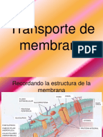 Membrana celular: transporte y estructura en