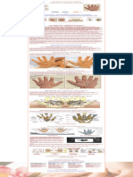 Hand Reflexology Charts Guide With Tips
