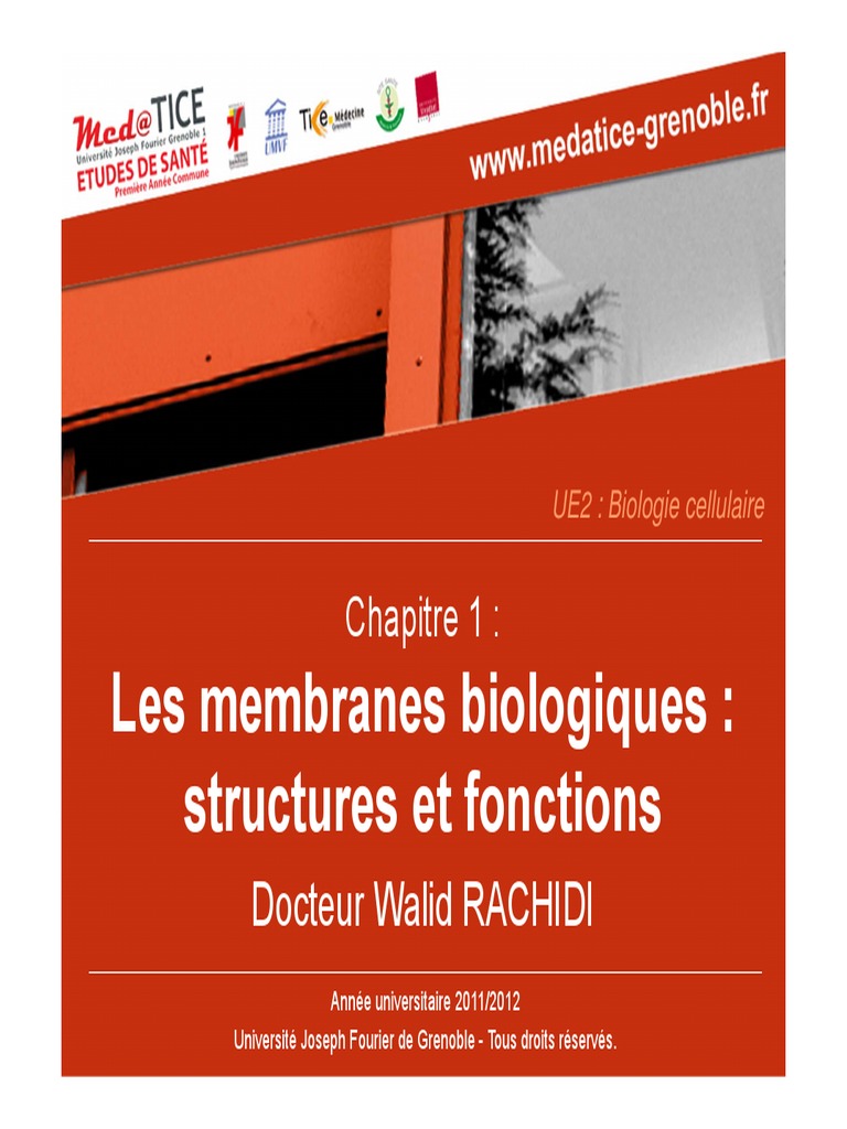 Membranes biologiques : structures et fonctions | PDF | Membrane ...