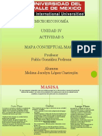 Mapa Conceptual MASISA