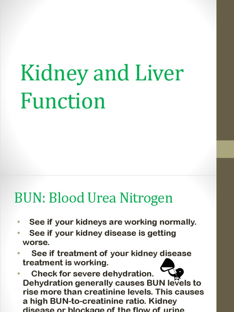 Kidney and Liver Function | PDF | Creatinine | Liver
