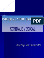 Sonda Vesical PDF