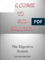 Human Digestive project 10 cbse