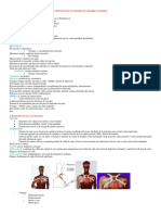 Monografia Componentes de Protesis de Miembro Superior - Elizabeth