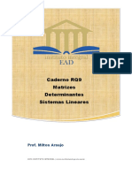 Caderno RQ9 Matrizes e Determinantes