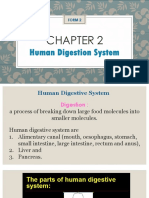 Chapter 2 Nutrition