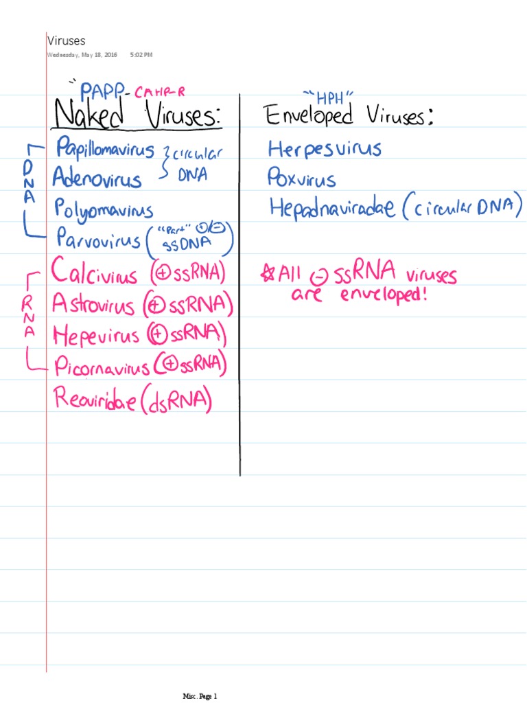 DB Naked and Enveloped Viruses | PDF