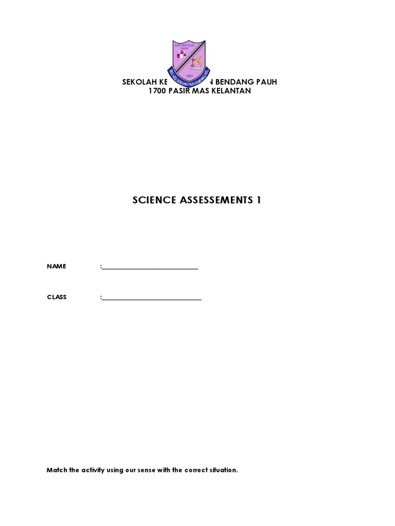 Year 1 Science Assessment Worksheet | PDF
