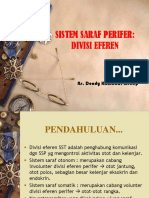 Sistem Saraf Perifer Eferen