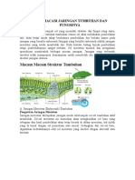 Tumbuhan Dan Fungsinya