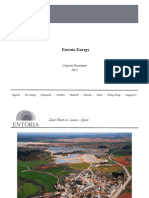 Entoria Profile PDF