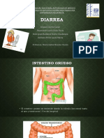 Diarrea 