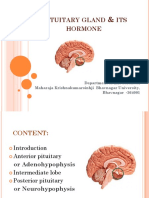 Pituitary Gland Hormones & Their Functions