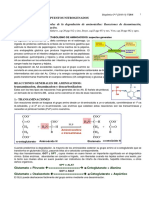 Metabolismo de aminoacidos.pdf
