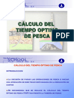 Calculo de Tiempo Óptimo PESCA