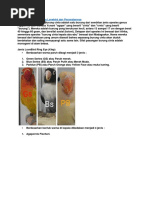 Download All About Lovebird by Galih Adi Pratama SN369272897 doc pdf