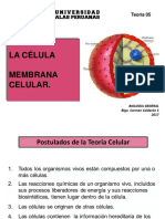 Bio Gen Teoria 5 2015 Celula y Membrana