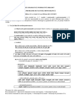 Sinteza Gramatica Normativa