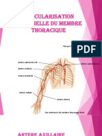 2-Vascularisation Artérielle DU MEMBRE THORACIQUE (1)