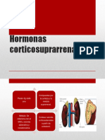 Hormonas Corticosuprarrenales